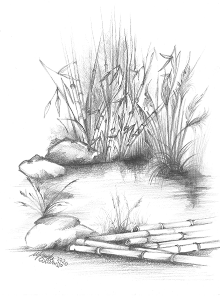 aziendaagricolatedesco